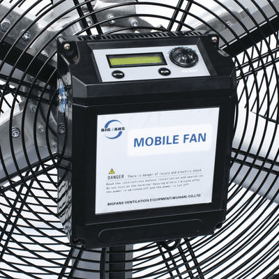 BIG FANS XM20