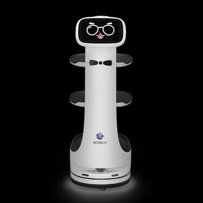 KEENON T8LS Robot de Servicio
