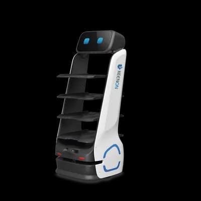 KEENON T9LS Robot de Servicio